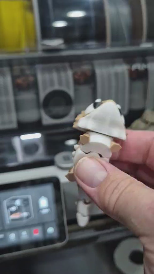 Articulating bearded Dragon